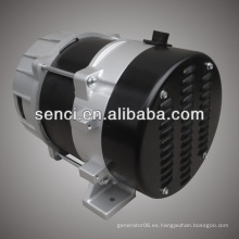 Alternador de 10kva